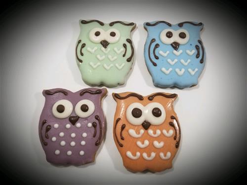 The H'owlery - Tray of 16 *